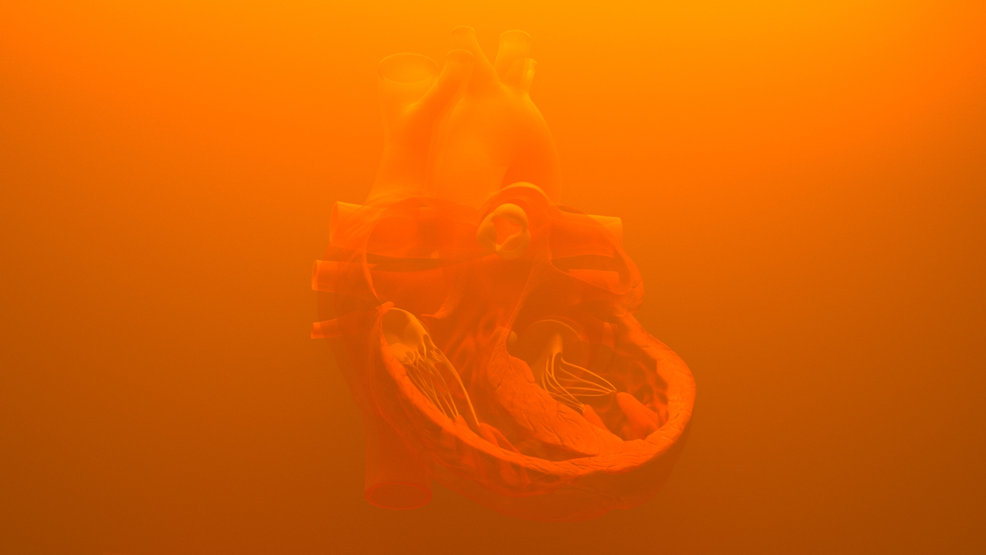 082419_HEART_EXPLORATION_001