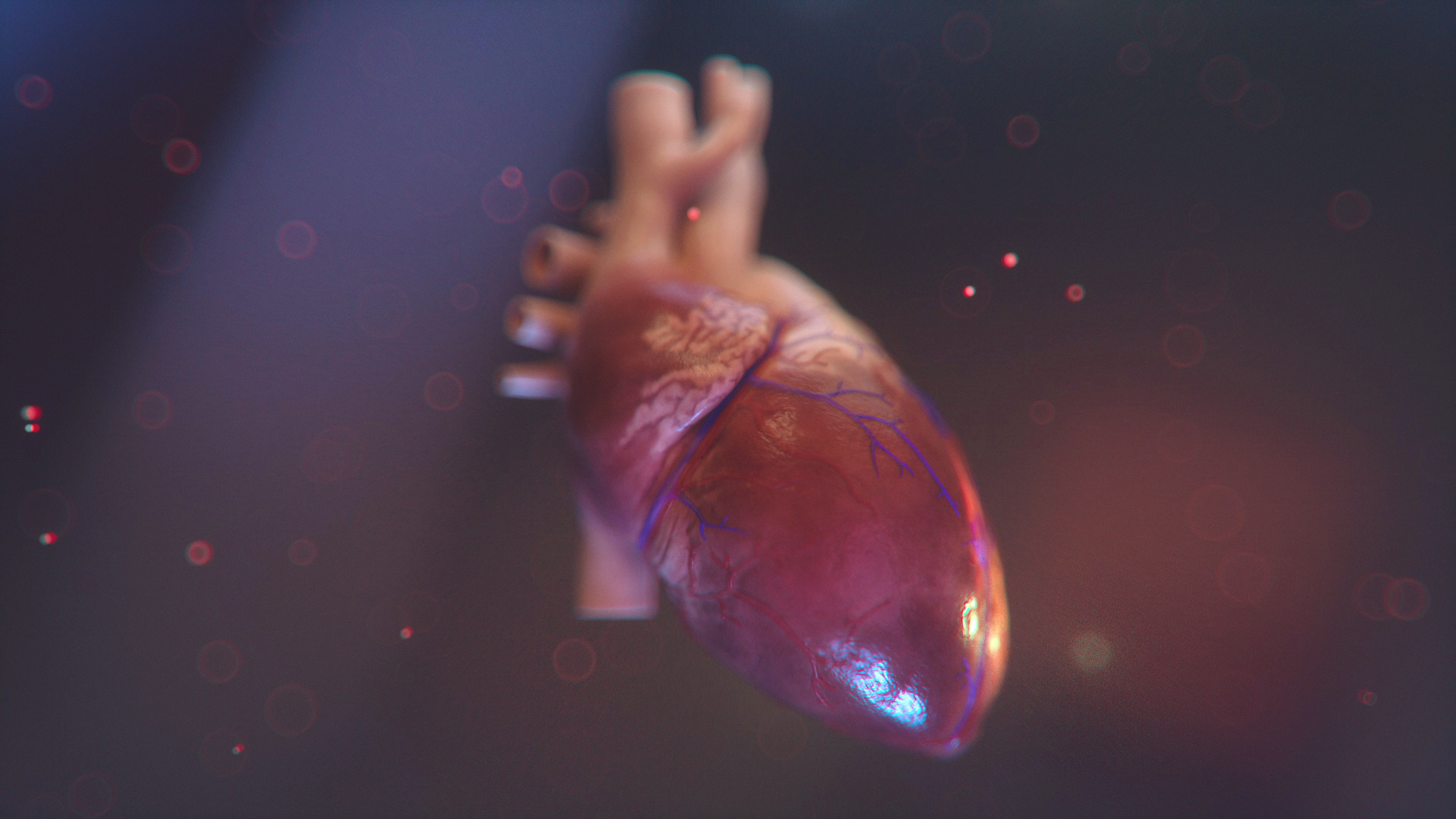 082419_HEART_EXPLORATION_004A