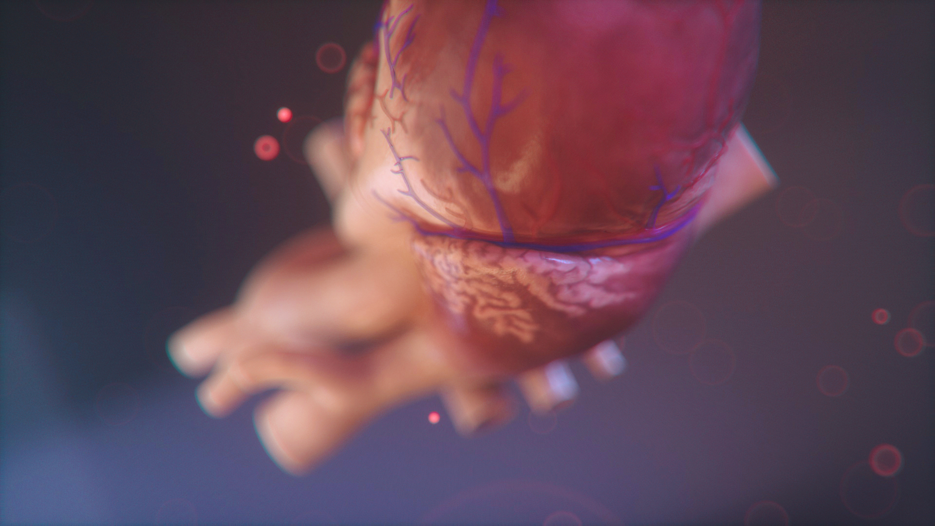 082419_HEART_EXPLORATION_004B