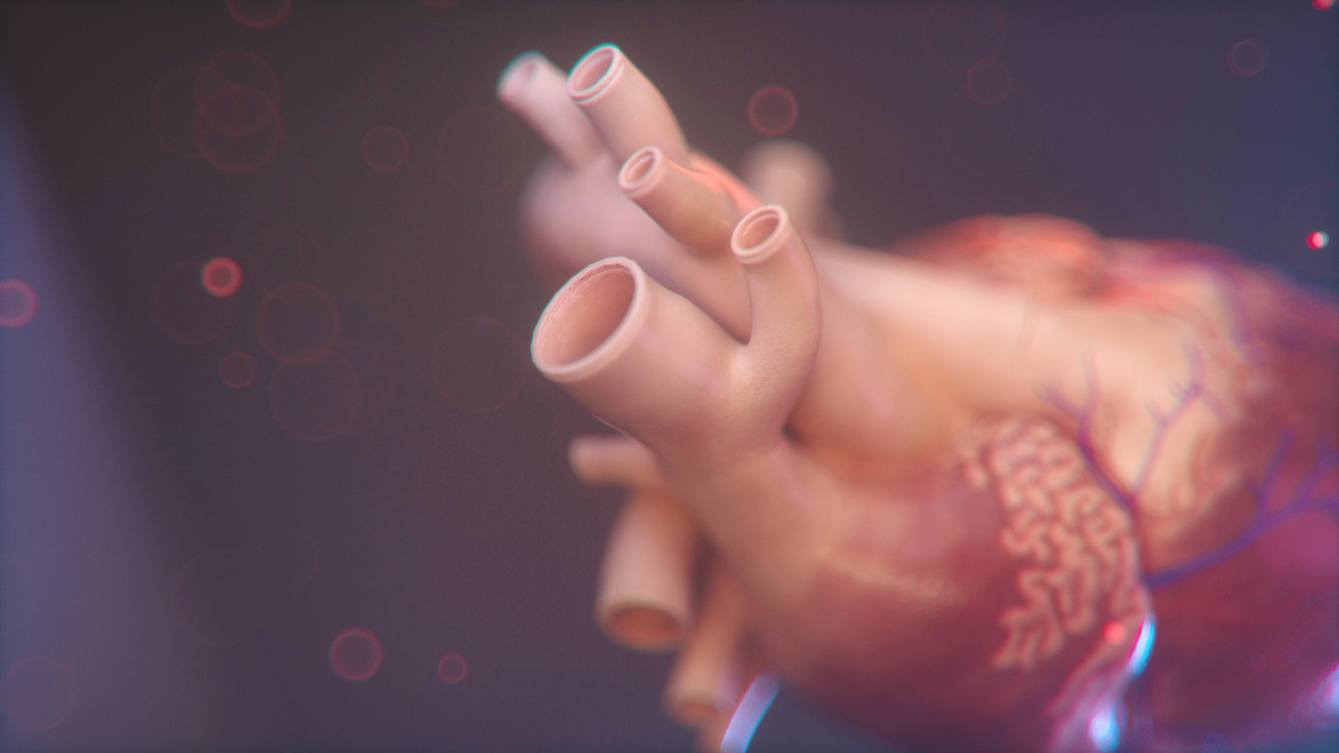 082419_HEART_EXPLORATION_004C