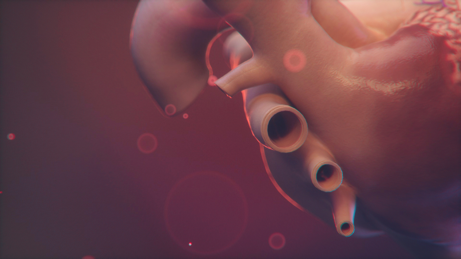 082419_HEART_EXPLORATION_004D