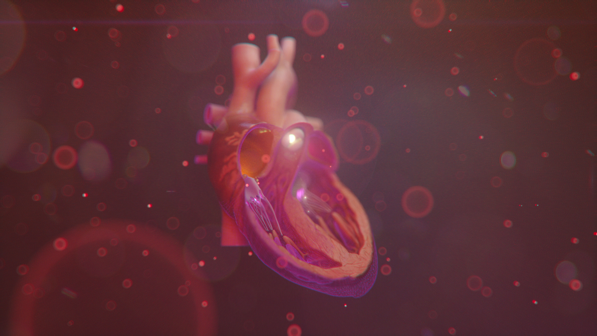 082419_HEART_EXPLORATION_005A