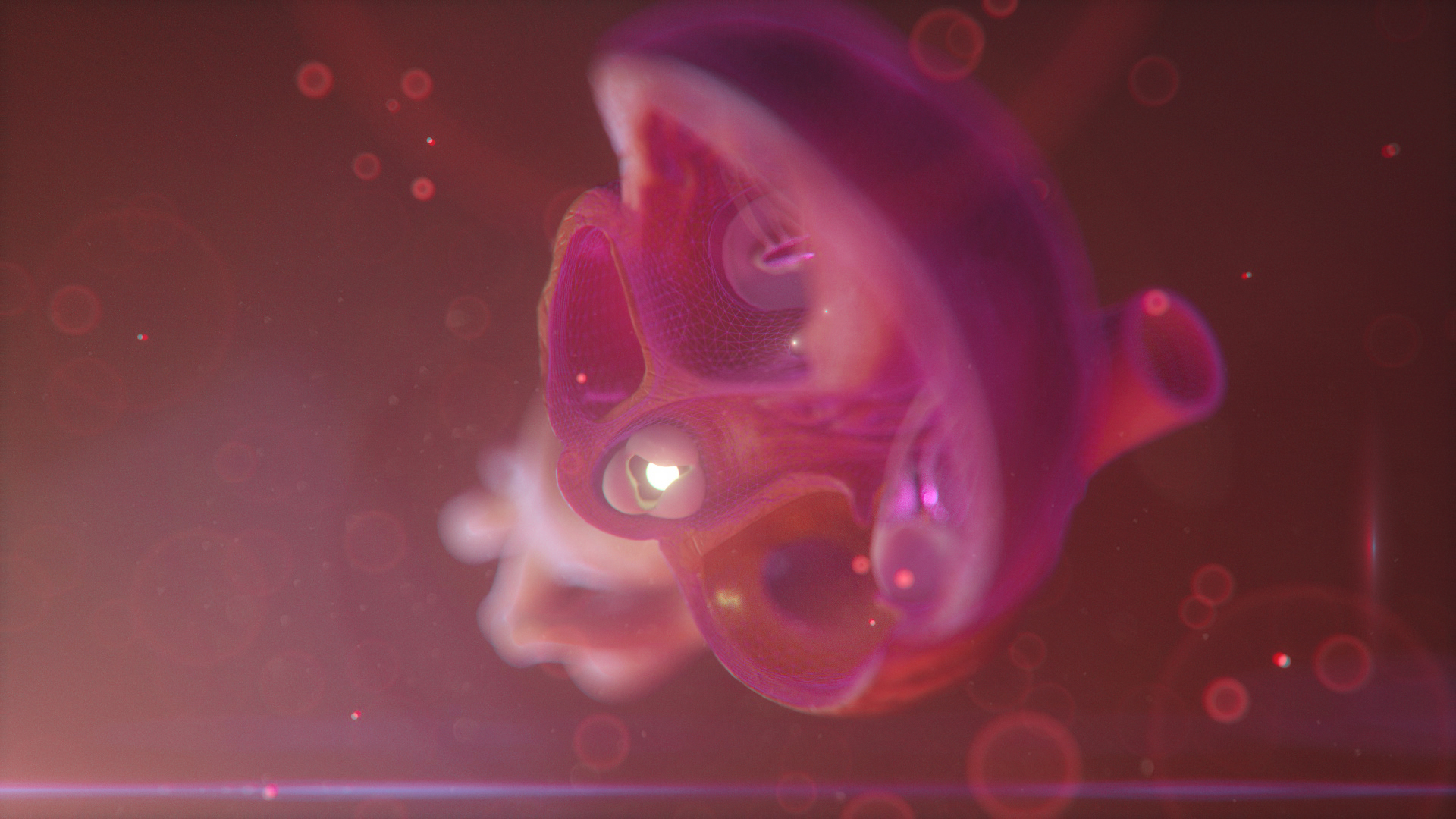 082419_HEART_EXPLORATION_005B
