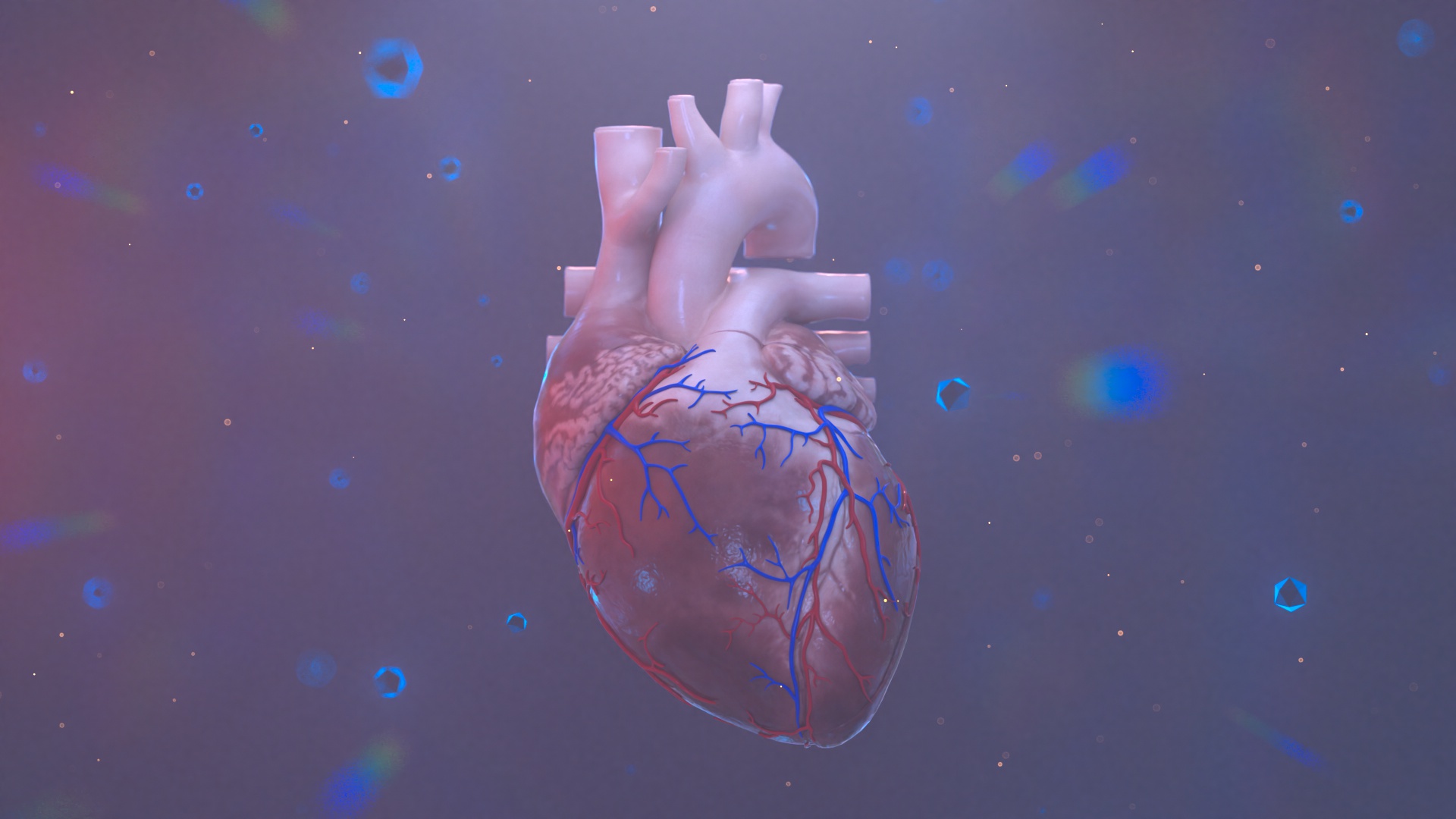 HEART_0_0_004A