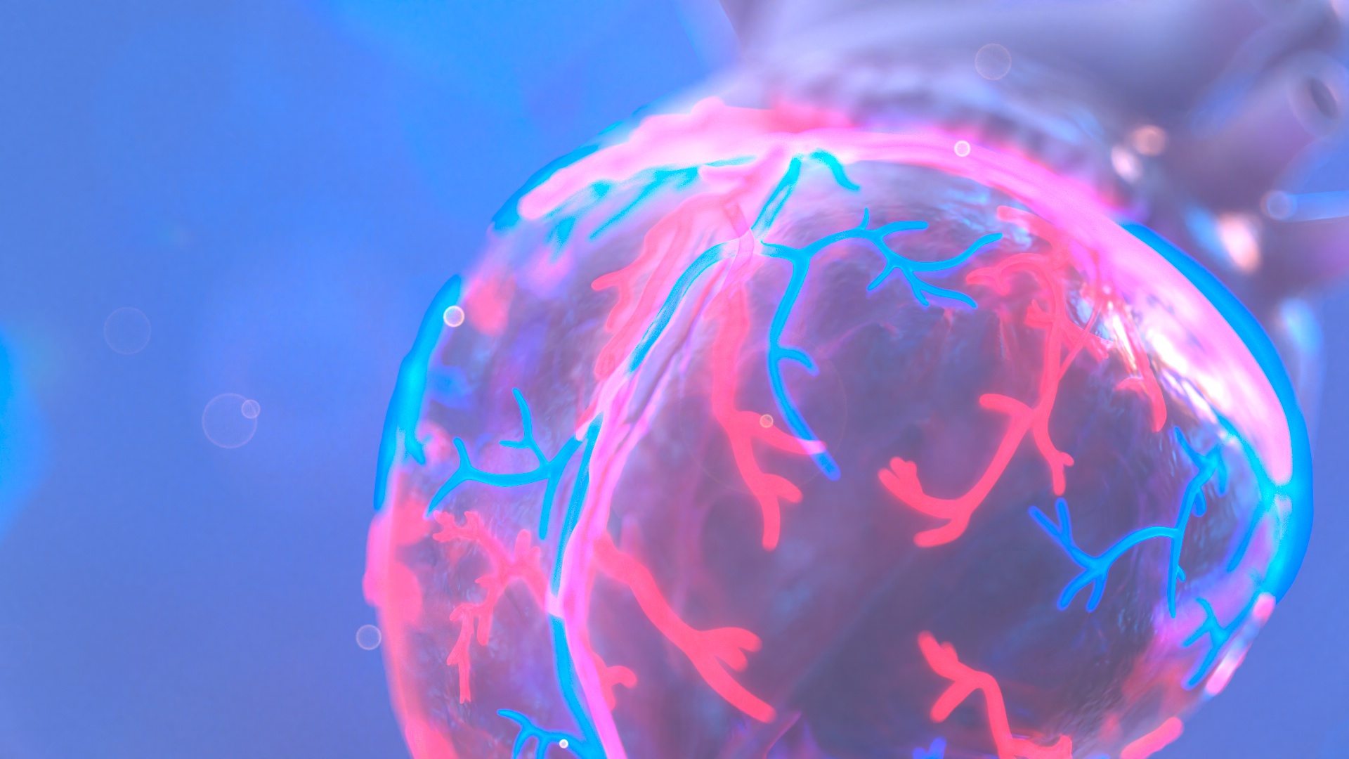 HEART_1_0_001A