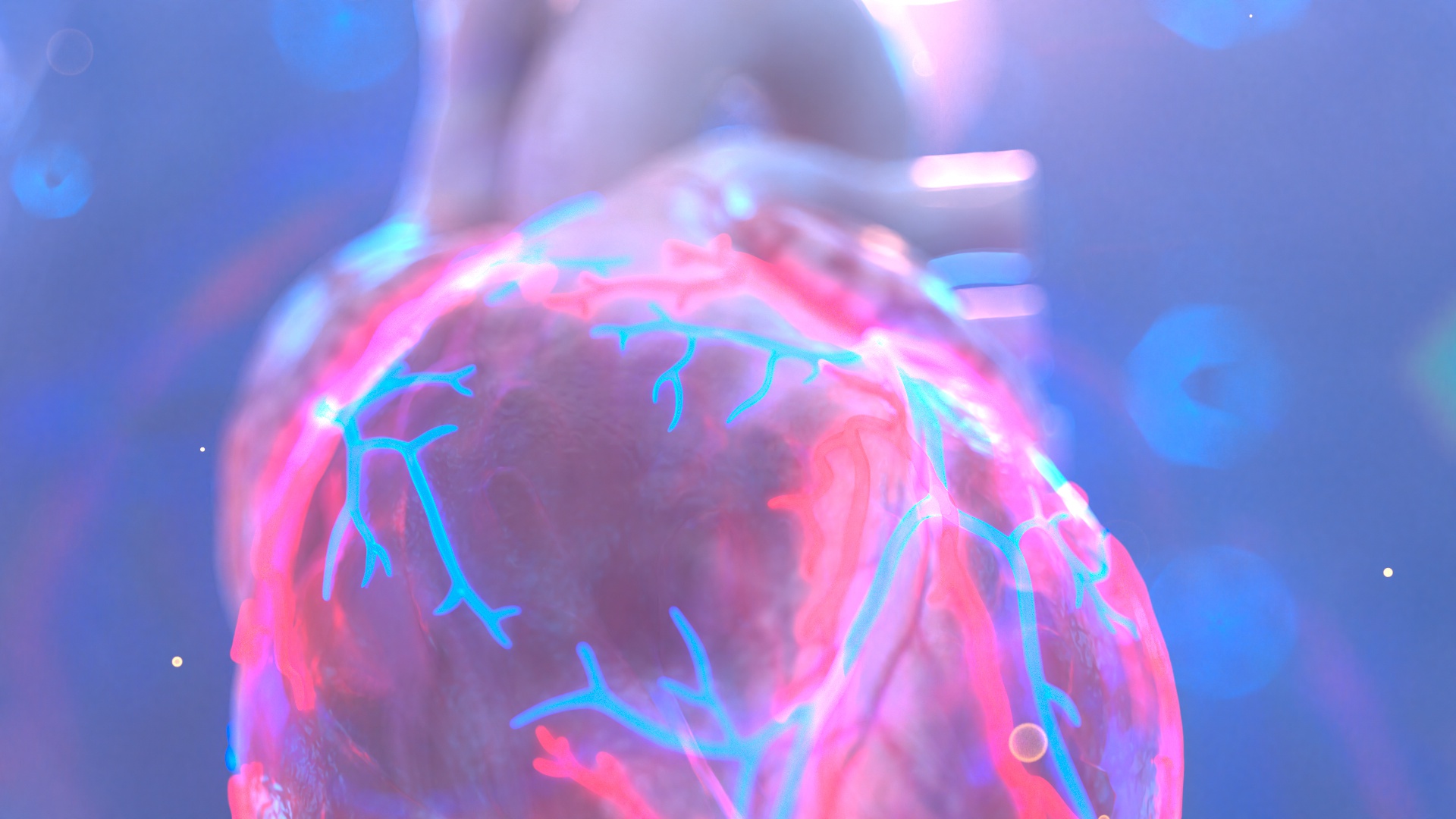 HEART_1_0_001B