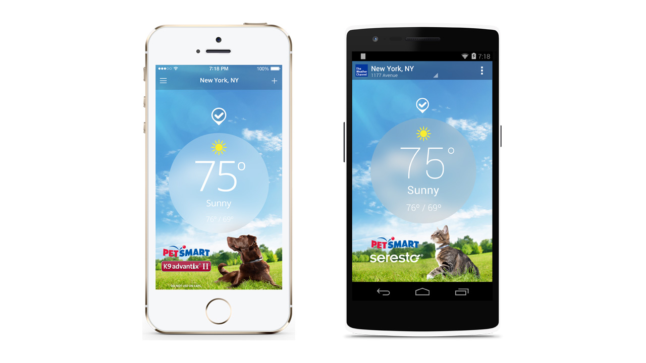 twc_petsmart_02