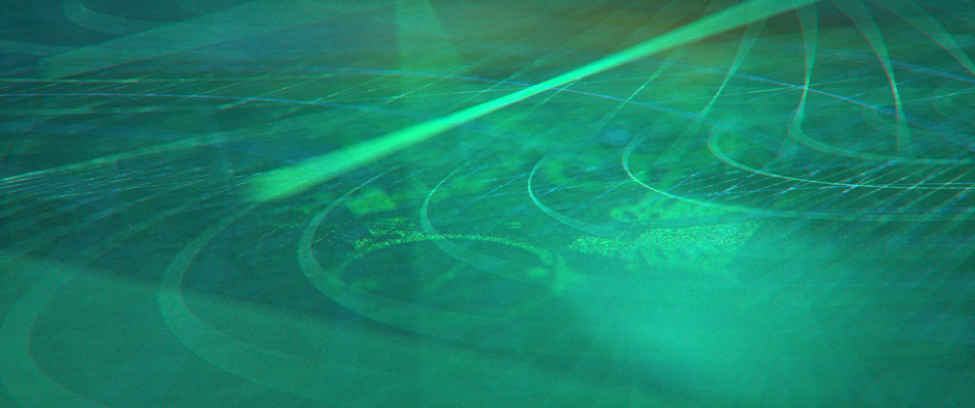II_02 II_02